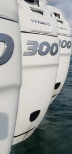 Why an outboard motor dies when put in gear