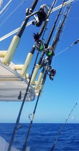 Center Console Fishing Rods In Rod Holders