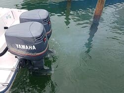 flush your outboard